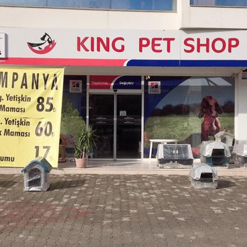 king pet shop