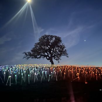 Sensorio - This was by far my favorite picture from that night. The trail was beautiful and weather was perfect! - Art Galleries Near Me - Paso Robles, California Sensorio - This was by far my favorite picture from that night. The trail was beautiful and weather was perfect! - Art Galleries Near Me - Paso Robles, California