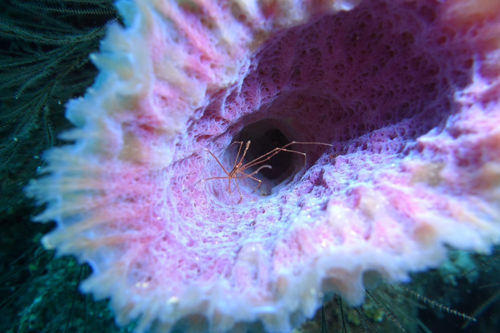 SeaSmart - social services organization in Hoboken, NJ