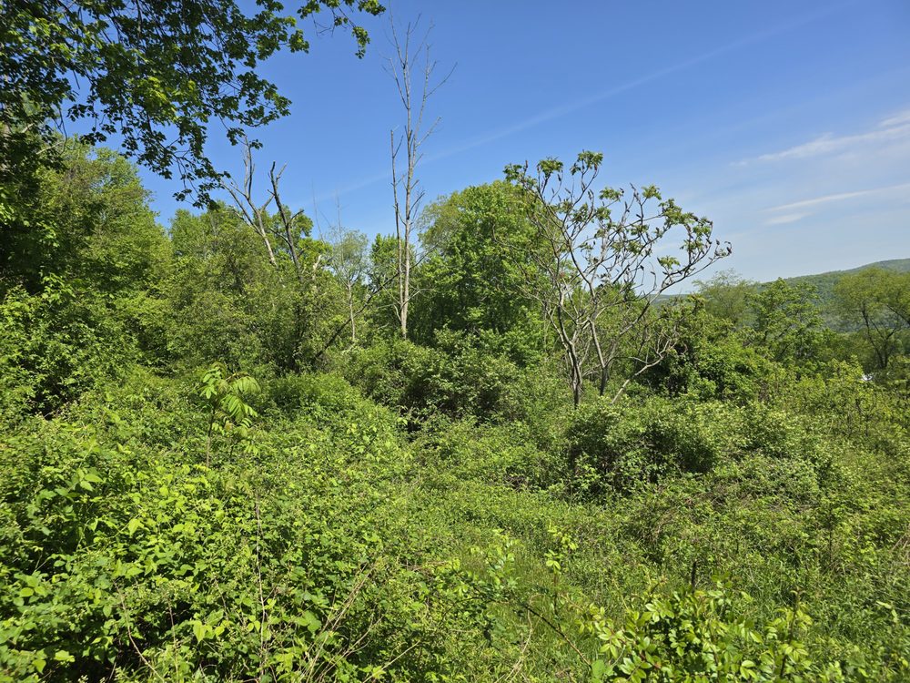 Slide of Buddy's Quality Construction