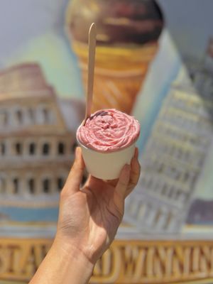 Marco Polo Italian Ice Cream by null