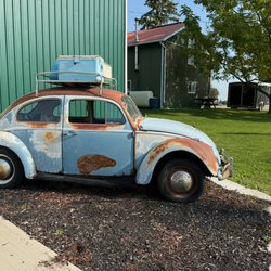 Ocala Winery - This is someone's yard we decided to roam around on.