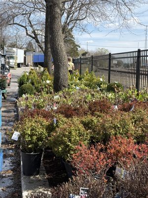 Farmers market in Kirkwood by null