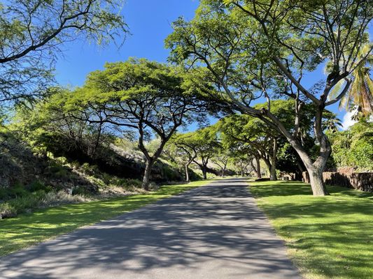 Manele Golf Course by null