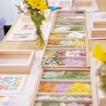 Studio Floras - Art Classes Near Me - San Jose, California