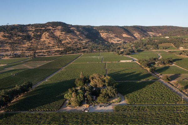 PlumpJack Estate Winery by null