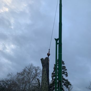 C & A Tree Service - Tree Services Near Me C & A Tree Service - Tree Services Near Me
