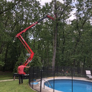 Cornerstone Tree Service - Not even one leaf fell in pool. Amazing! - Tree Services Near Me - Medford, New Jersey Cornerstone Tree Service - Not even one leaf fell in pool. Amazing! - Tree Services Near Me - Medford, New Jersey