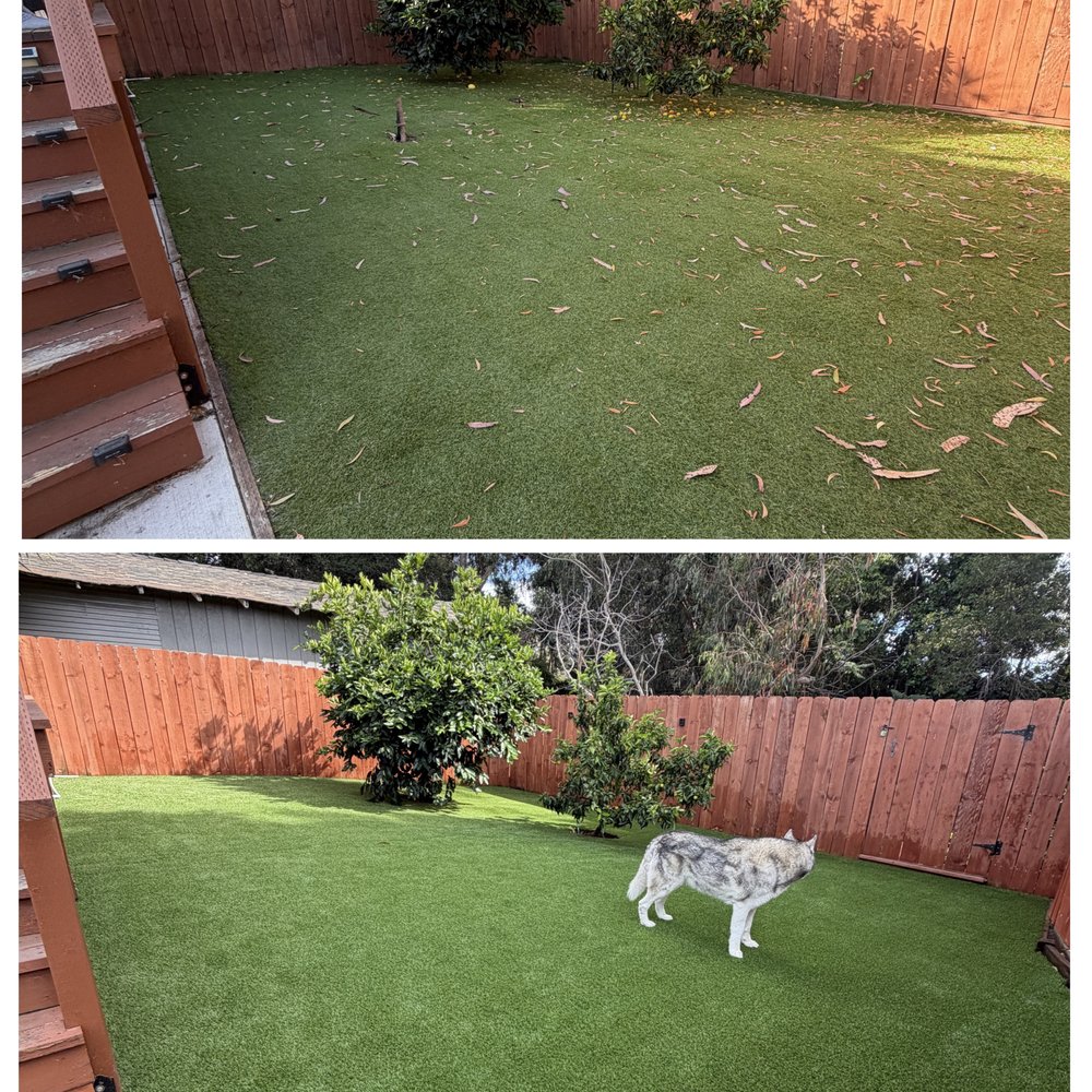 Before (Top) / After (Bottom) Before (Top) / After (Bottom)