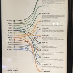 Columbus Botanical Depot - Educational material