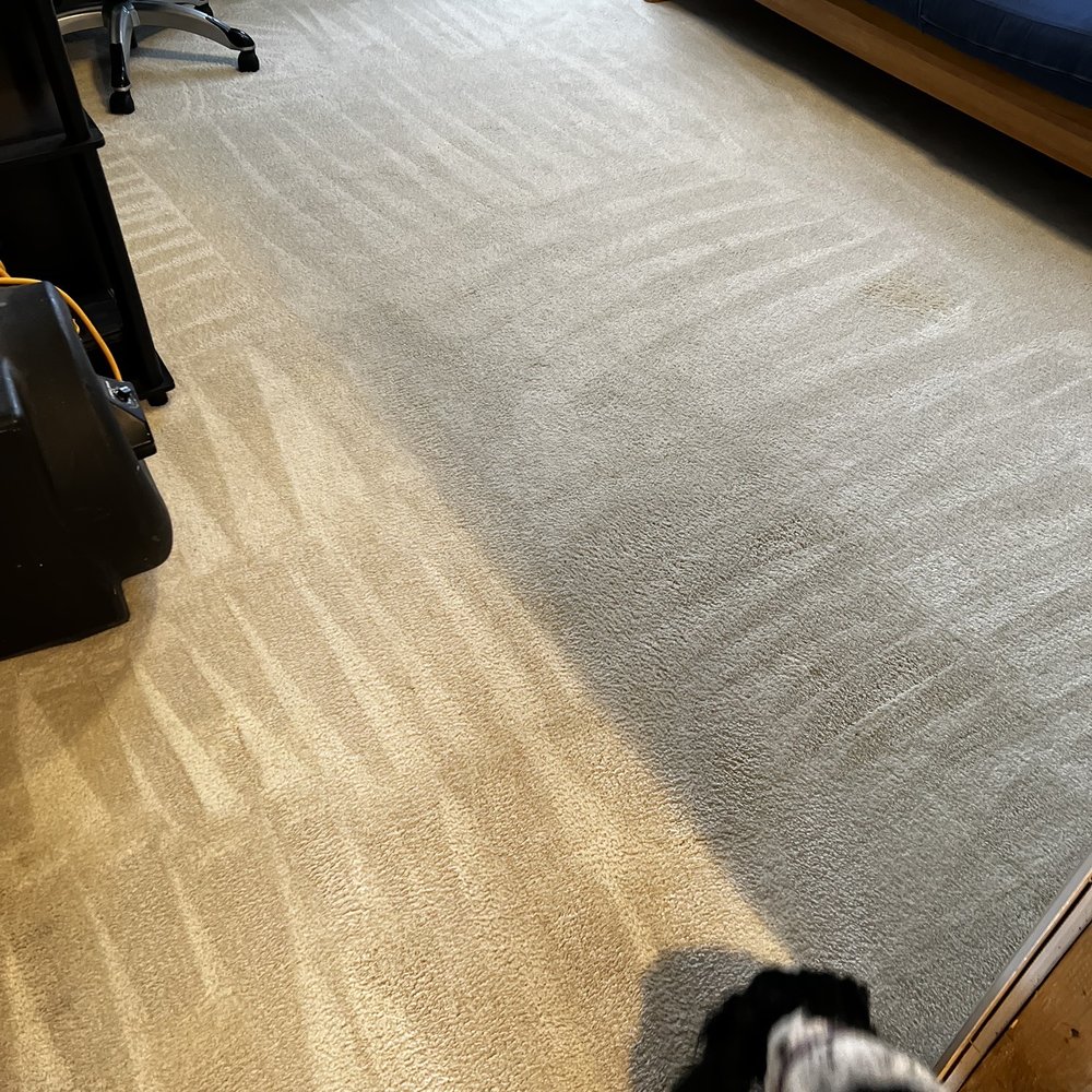 Wash Away Cleaning - Carpet Cleaning Near Me Wash Away Cleaning - Carpet Cleaning Near Me