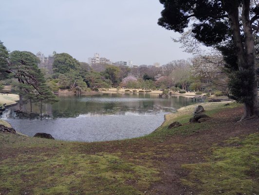 Rikugien Gardens by null