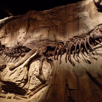 Royal Tyrrell Museum - Museums Near Me - Drumheller, Alberta Royal Tyrrell Museum - Museums Near Me - Drumheller, Alberta
