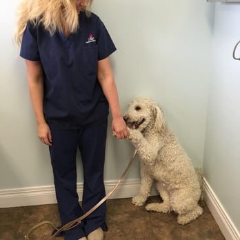 Pet Medical Services - Veterinarians Near Me - Orem, Utah Pet Medical Services - Veterinarians Near Me - Orem, Utah