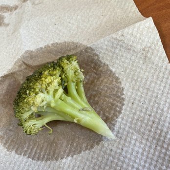 Golden Corral Buffet & Grill - Steamed Broccoli - American Near Me - Colonial Heights, Virginia