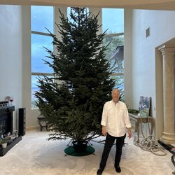 Rudolph's Christmas Trees - Beautiful Christmas tree 2024