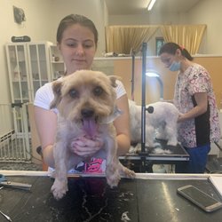 Ella's Grooming - First time here, she did a wonderful job. $50.00 and she was done exactly in one hour! I will definitely come back. Thank you!