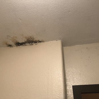 Gateway at Tempe - Black mold in the bathroom - Apartments Near Me - Tempe, Arizona Gateway at Tempe - Black mold in the bathroom - Apartments Near Me - Tempe, Arizona