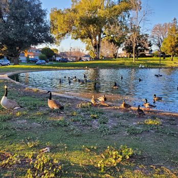 Noble Park - Lake/waterbirds - Parks Near Me - San Jose, California Noble Park - Lake/waterbirds - Parks Near Me - San Jose, California