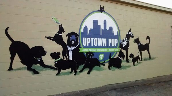 Uptown Pup by null