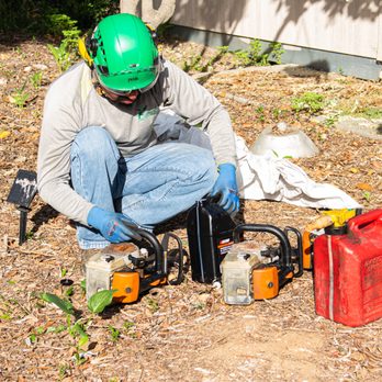 Favor Tree Care - a man using a chainsaw to cut a tree - Tree Services Near Me - Santa Ana, California Favor Tree Care - a man using a chainsaw to cut a tree - Tree Services Near Me - Santa Ana, California