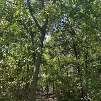 Erwin Park - Parks Near Me - McKinney, Texas Erwin Park - Parks Near Me - McKinney, Texas