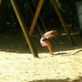Photo of Spielplatz im Englischen Garten am See