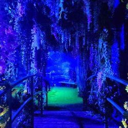 Cool garden recreation