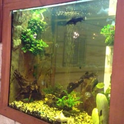 Restaurant Casablanca - Aquarien