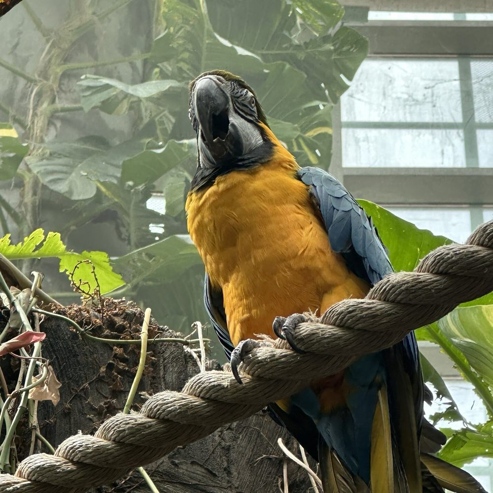 Audubon Aquarium - Aquariums Near Me - New Orleans, Louisiana Audubon Aquarium - Aquariums Near Me - New Orleans, Louisiana