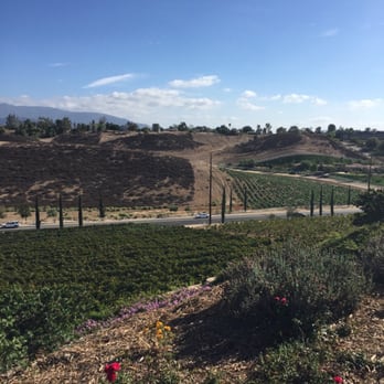 Miramonte Winery - Vines! - Wineries Near Me - Temecula, California