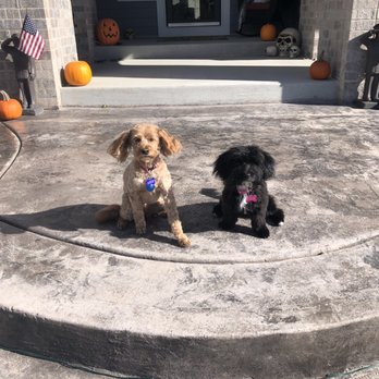 Cudahy Veterinary Clinic - Veterinarians Near Me - Cudahy, Wisconsin