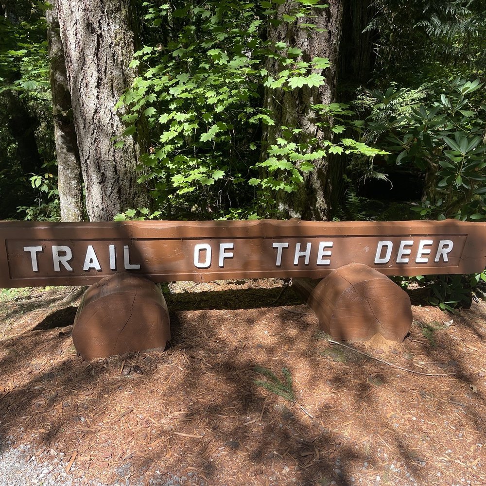 Lewis and Clark State Park - August 21, 2025 - Trail of the Deer, 1.7 mile loop trail. - Parks Near Me - Winlock, Washington Lewis and Clark State Park - August 21, 2025 - Trail of the Deer, 1.7 mile loop trail. - Parks Near Me - Winlock, Washington