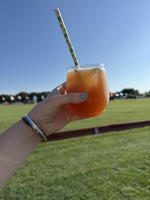 Newport Polo by null