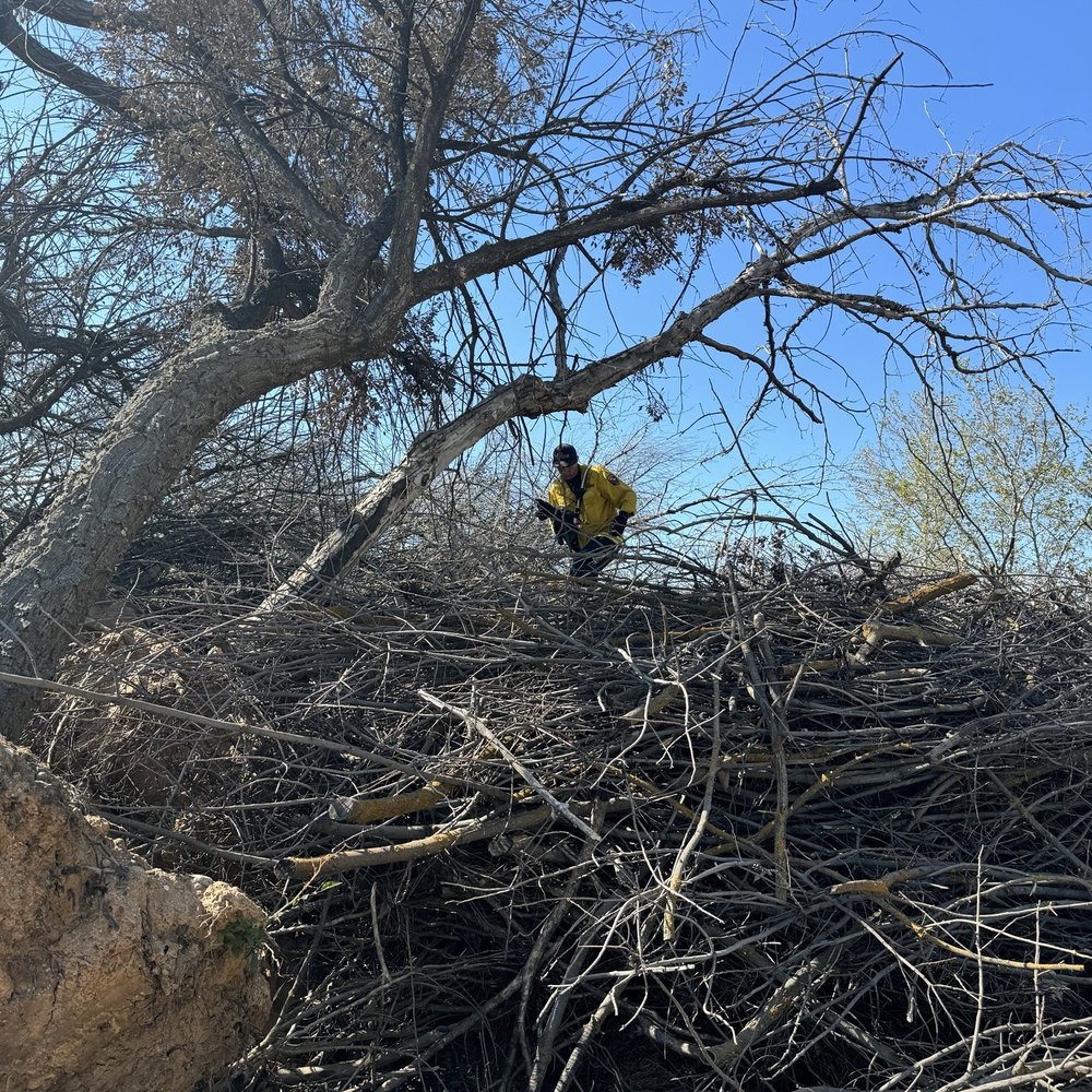 Tesoro Viejo Fire Station - thick brush they climbed ! - Fire Departments Near Me - Madera, California Tesoro Viejo Fire Station - thick brush they climbed ! - Fire Departments Near Me - Madera, California
