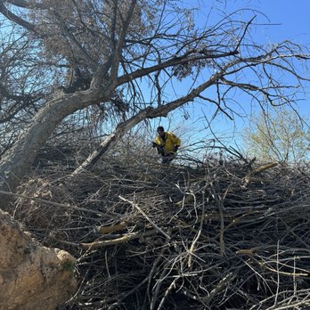 Tesoro Viejo Fire Station - thick brush they climbed ! - Fire Departments Near Me - Madera, California Tesoro Viejo Fire Station - thick brush they climbed ! - Fire Departments Near Me - Madera, California