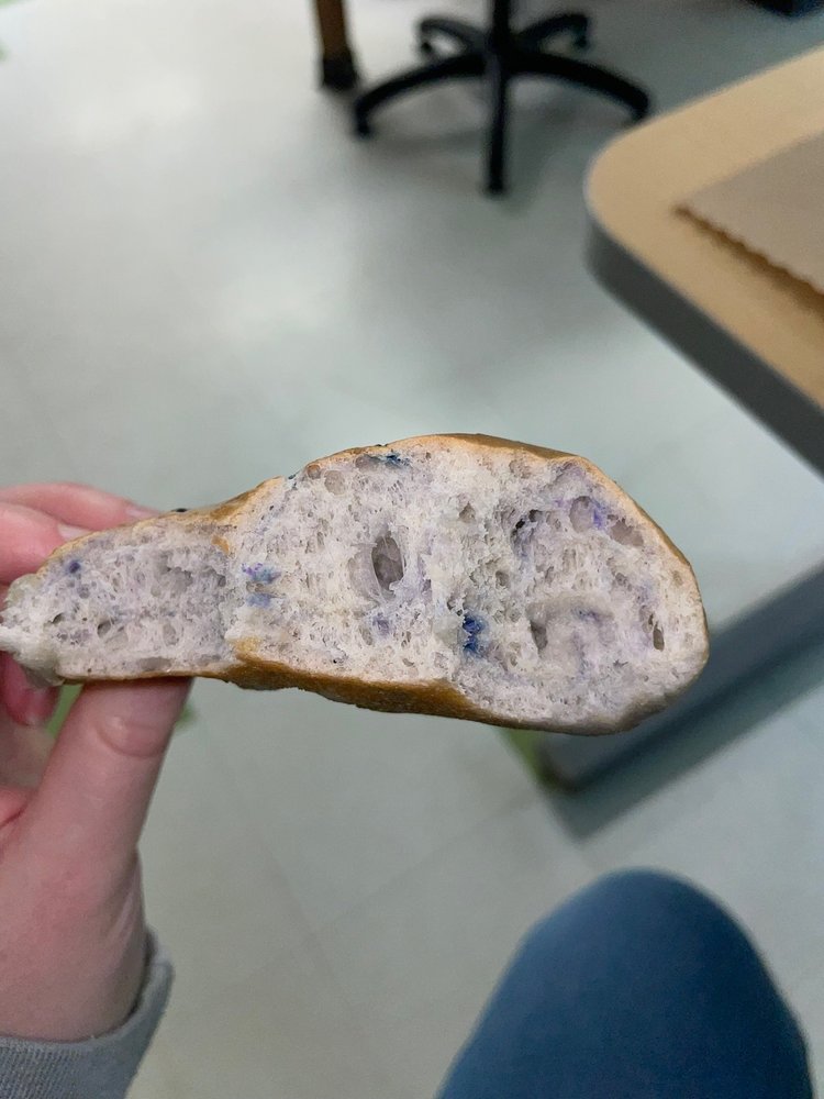 BENSON’S BAGELS 18 Photos 604 Enfield St, Enfield, Connecticut