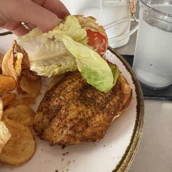 Rooftop at the Roosevelt - Grouper sandwich - Swimming Pools Near Me - New Orleans, Louisiana Rooftop at the Roosevelt - Grouper sandwich - Swimming Pools Near Me - New Orleans, Louisiana