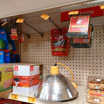 PetSmart - Pet Training Near Me - Shreveport, Louisiana