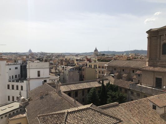 Madeiterraneo by null