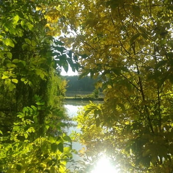 Pankower Karpfenteiche - Lakes Near Me - Berlin, BE