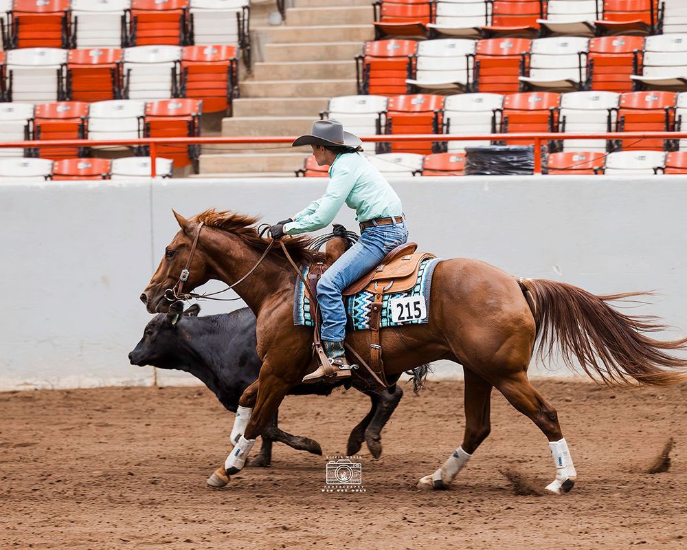 Lazy 4 T Ranch - equestrian in Elizabethtown, KY
