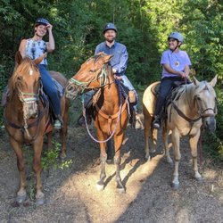 Wild At Heart Horse Rides - Duke, Hudson, and Pal. Love these guys!