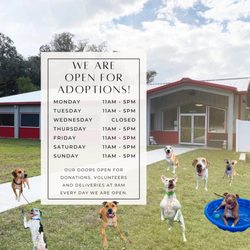 Humane Society of the Nature Coast