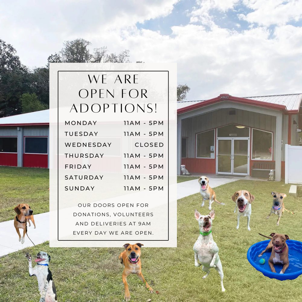 Humane Society of the Nature Coast Image