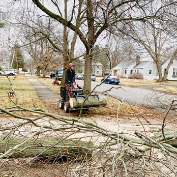 Foundations Tree Experts - Tree Services Near Me Foundations Tree Experts - Tree Services Near Me
