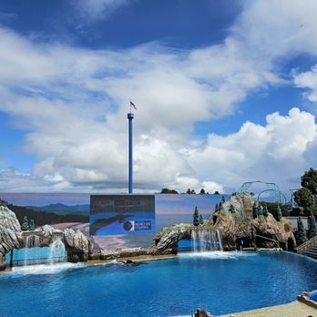 Orca Encounter - Amusement Parks Near Me - San Diego, California