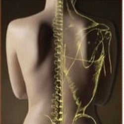 Howard F Lewis - Lewis Chiropractic Center