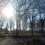 Photo of Wilhelmsgarten
