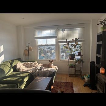 Custom Sofa Co. - San Francisco - Furniture Stores Near Me - San Francisco, California Custom Sofa Co. - San Francisco - Furniture Stores Near Me - San Francisco, California